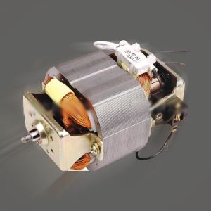 Univerzalni motor