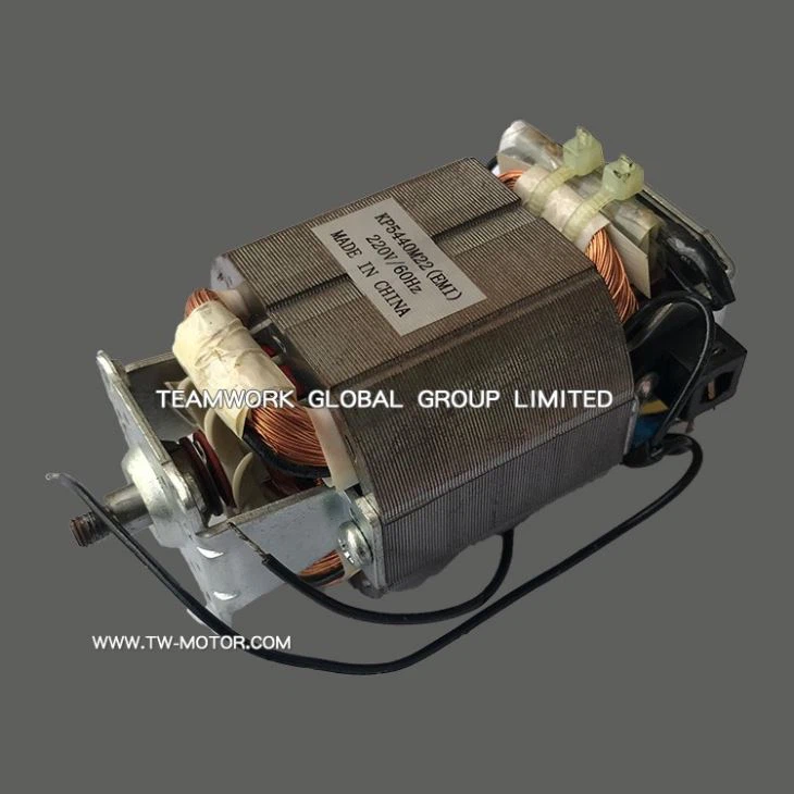 Grinding AC Series Motor