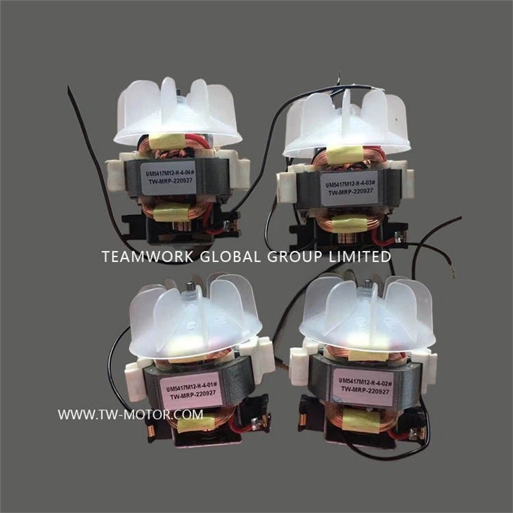 Electric Single Phase For Hair Dryer