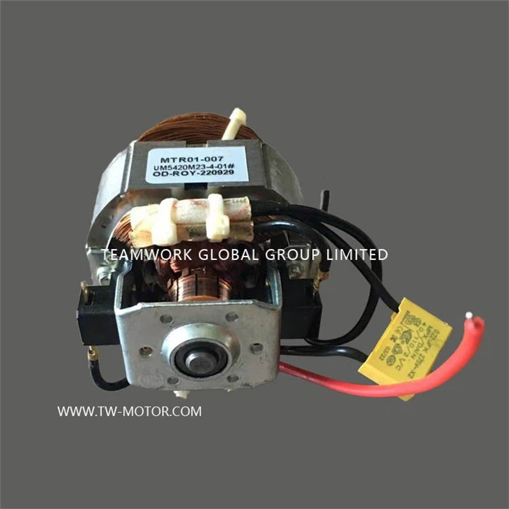 High Efficiency Motor