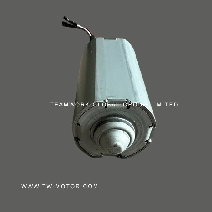 Massager Motor